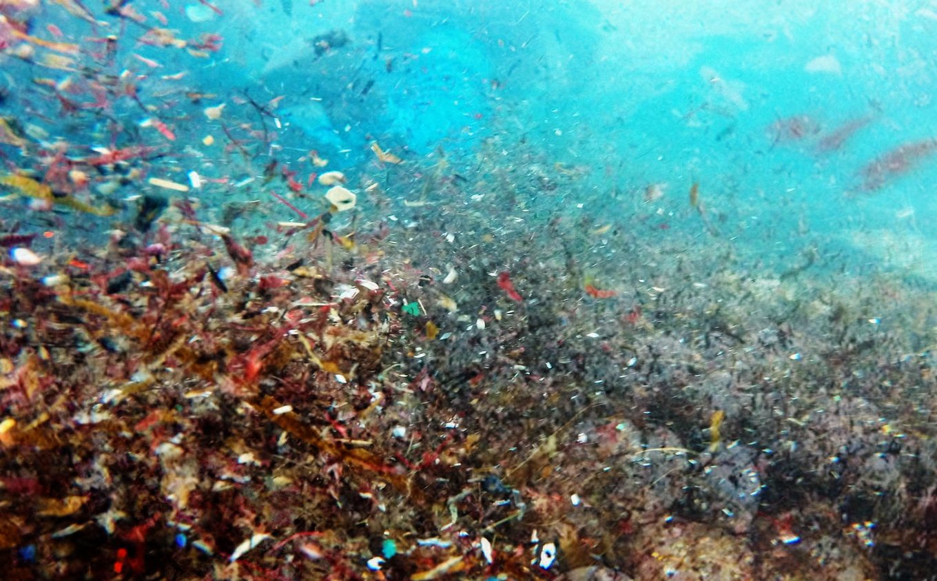 Τι είναι τα μικροπλαστικά, και πόσο επικίνδυνα είναι για τις θαλασσές μας;  - NewsTube